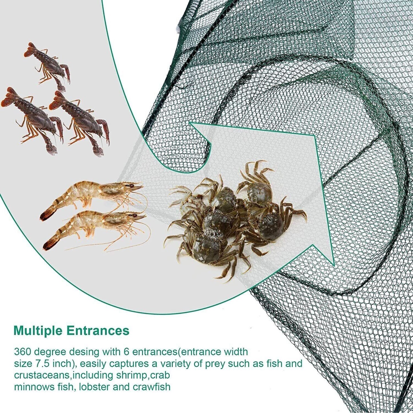 Foldable Fishing Bait Trap - Crab, Shrimp, Minnow Net - Easy, Portable, Durable