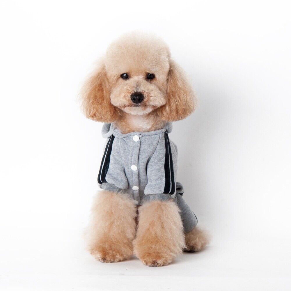 Four-Legged Designer Pet Ensemble: Luxe Sports Hoodie & Warm Sweater Jacket