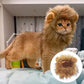 Lion Wig Costume for Cats