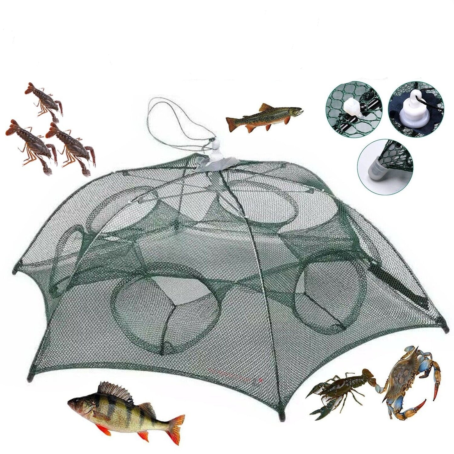 Foldable Fishing Bait Trap - Crab, Shrimp, Minnow Net - Easy, Portable, Durable