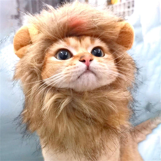 Lion Wig Costume for Cats