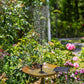 Solar Power Fountain Garden Pool Submersible Floating Water Pump Bird Bath Pond