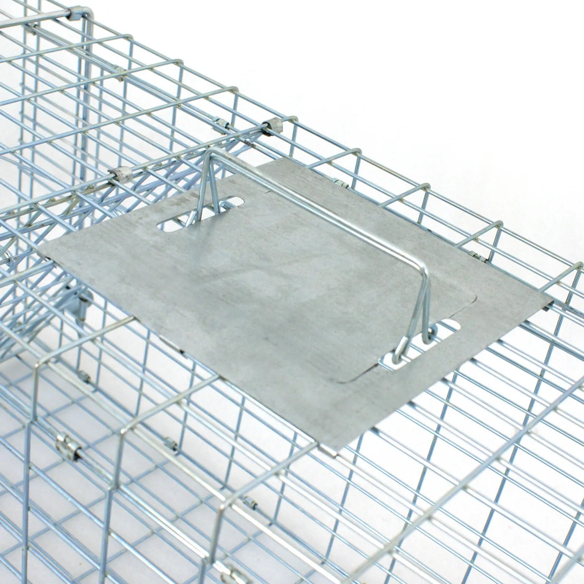 Large Live Rabbit Trap Extra Large Live Animal Trap - 32