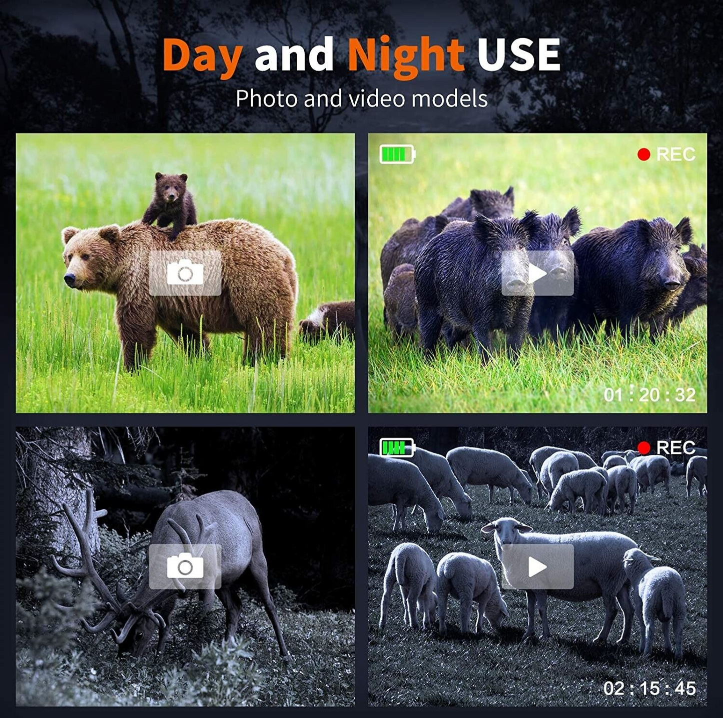 Digital Night Vision Binoculars For Total Darkness Surveillance