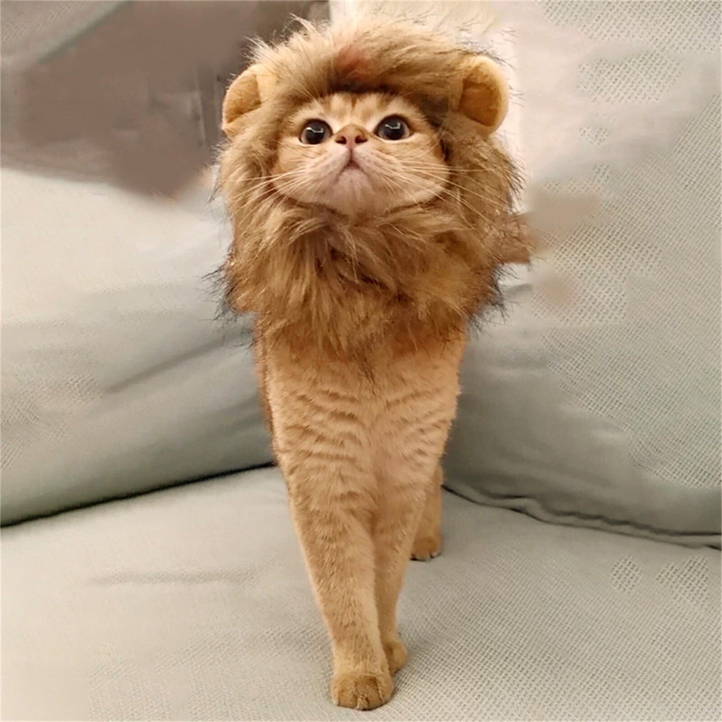Lion Wig Costume for Cats