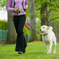 Retractable Dog Leash Pet Collar Automatic Walking Lead Free