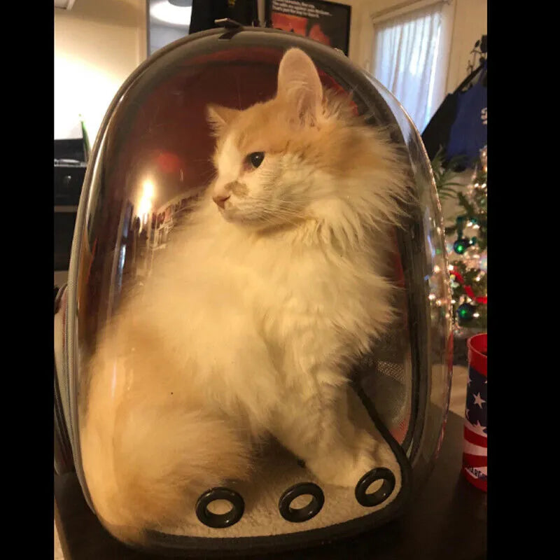 Pet Space Capsule Backpack: Transparent Travel Carrier for Dogs and Cats