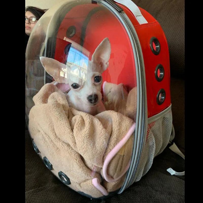 Pet Space Capsule Backpack: Transparent Travel Carrier for Dogs and Cats