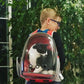 Pet Space Capsule Backpack: Transparent Travel Carrier for Dogs and Cats