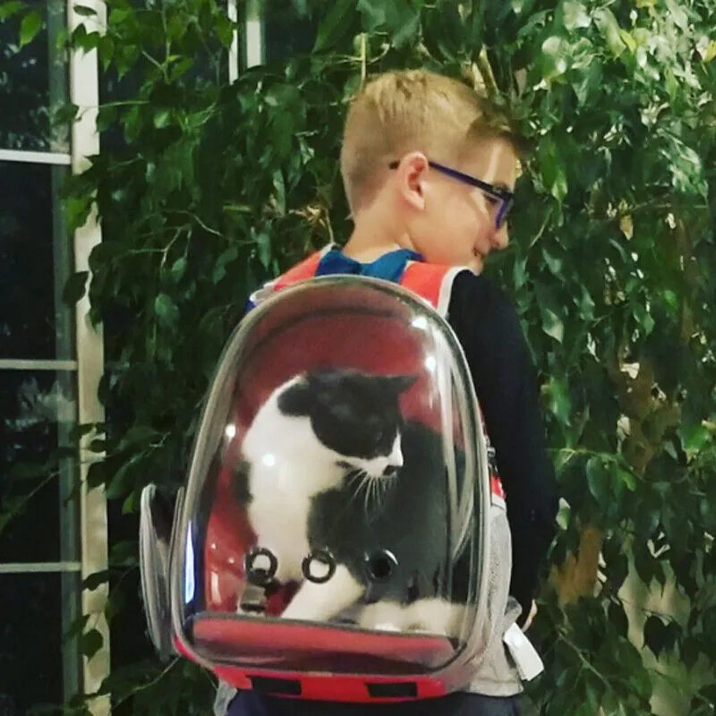 Pet Space Capsule Backpack: Transparent Travel Carrier for Dogs and Cats