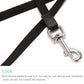 Retractable Dog Leash Pet Collar Automatic Walking Lead Free