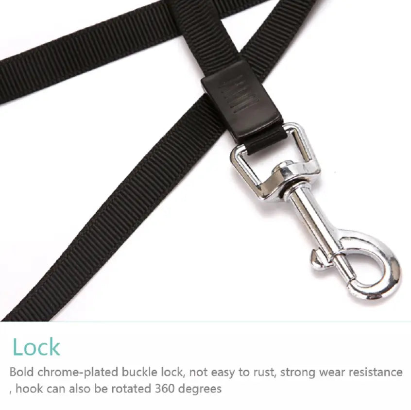 Retractable Dog Leash Pet Collar Automatic Walking Lead Free