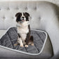 Self-Warming Thermal Mat: Premium Non-Slip Hot Pad for Canine and Feline Beds (Gray)
