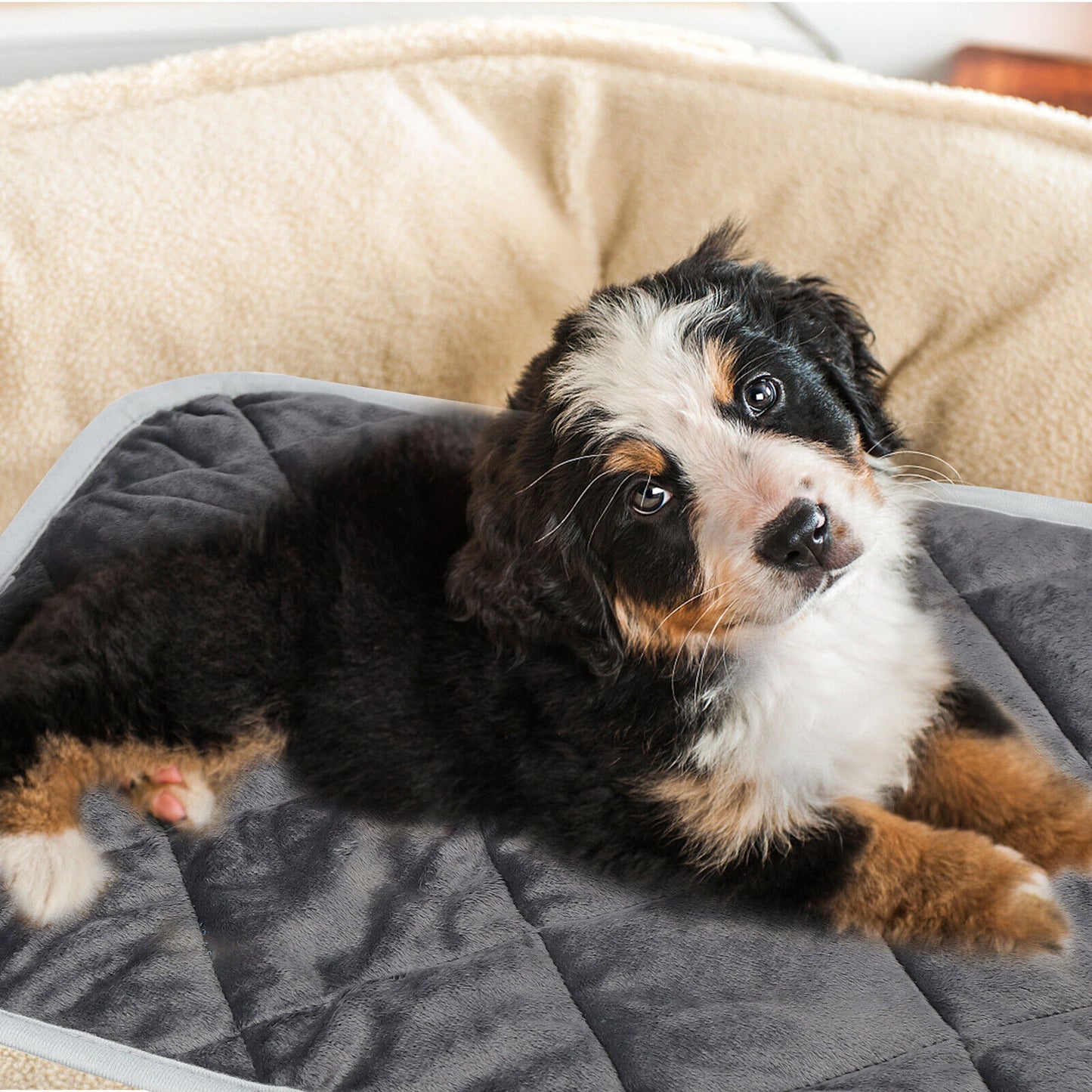 Self-Warming Thermal Mat: Premium Non-Slip Hot Pad for Canine and Feline Beds (Gray)