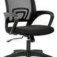 Ergonomic Home Office Chair