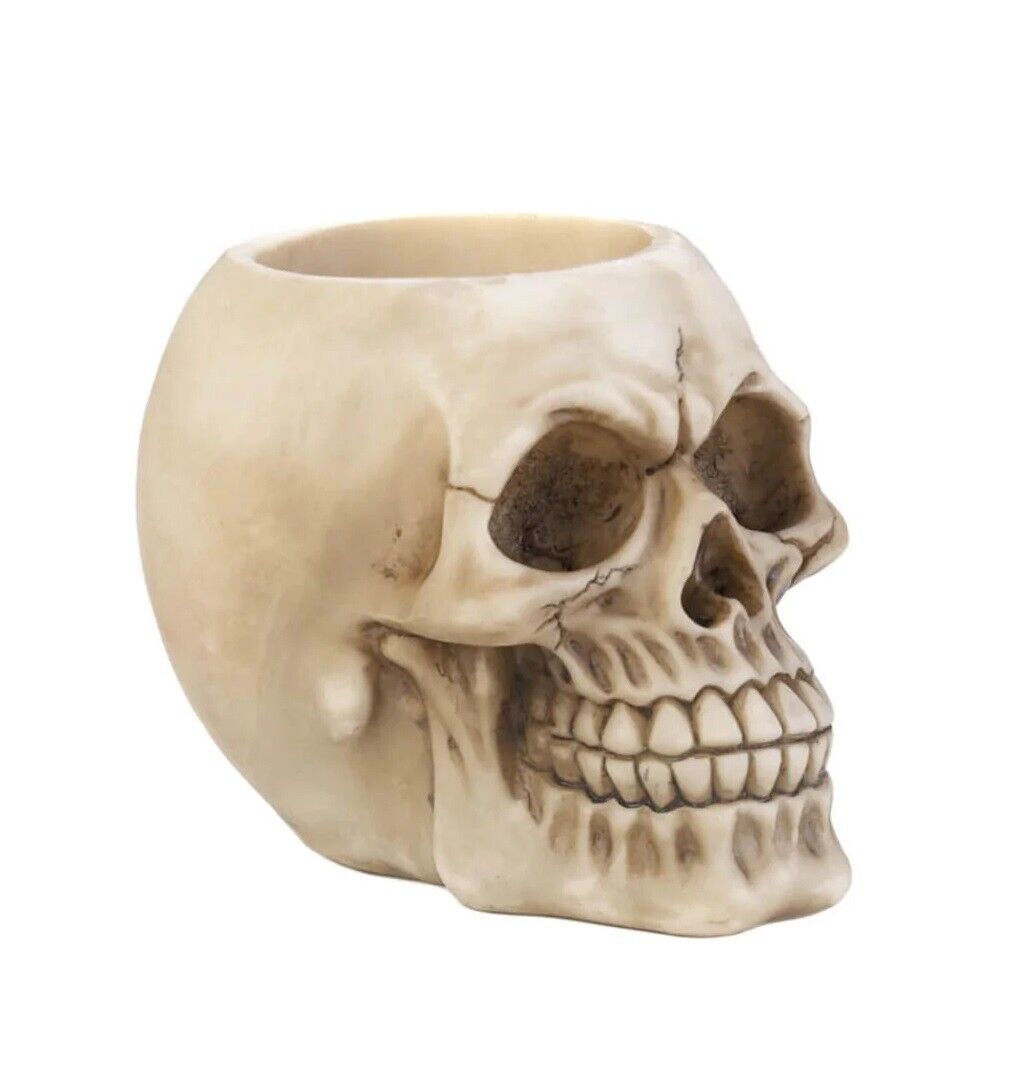 Realistic Human Skull Desk Supplies Pencil Pen Holder Desktop Organizer Gifts