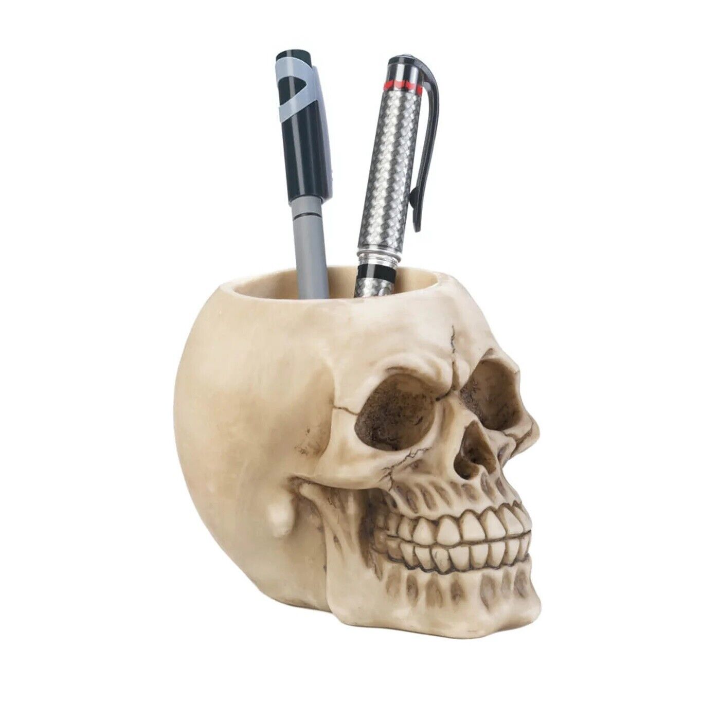 Realistic Human Skull Desk Supplies Pencil Pen Holder Desktop Organizer Gifts