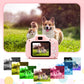 Kids Digital Camera Mini Video Camcorder For Children HD