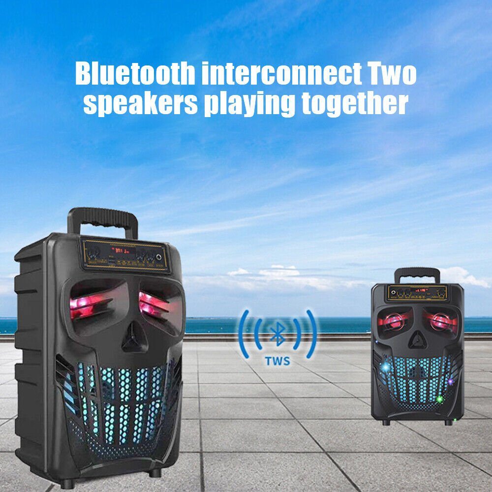 Wireless Portable Party Speaker with Microphone Bluetooth/WiFi