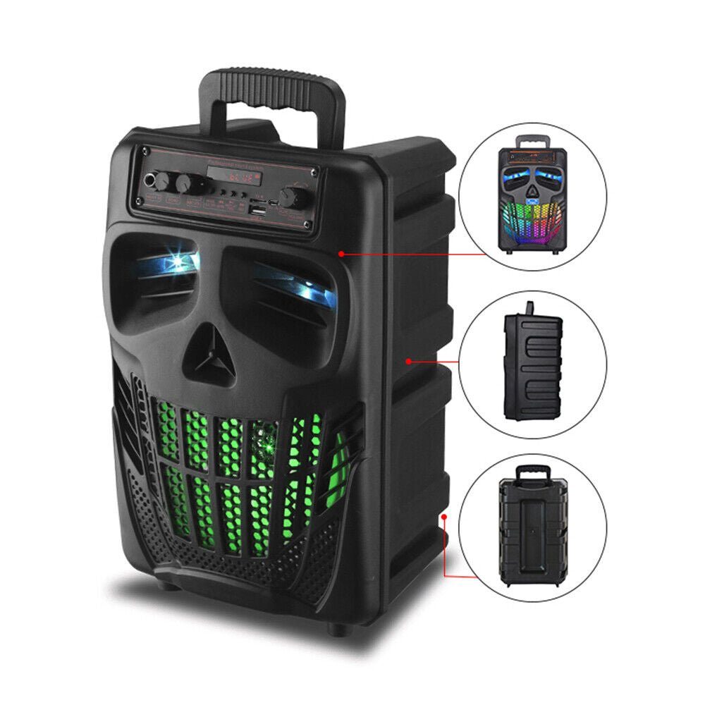 Wireless Portable Party Speaker with Microphone Bluetooth/WiFi